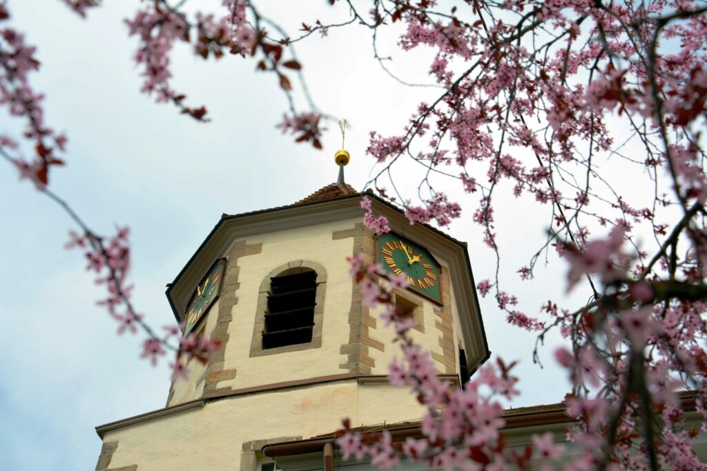 a building with a clock on the top of it